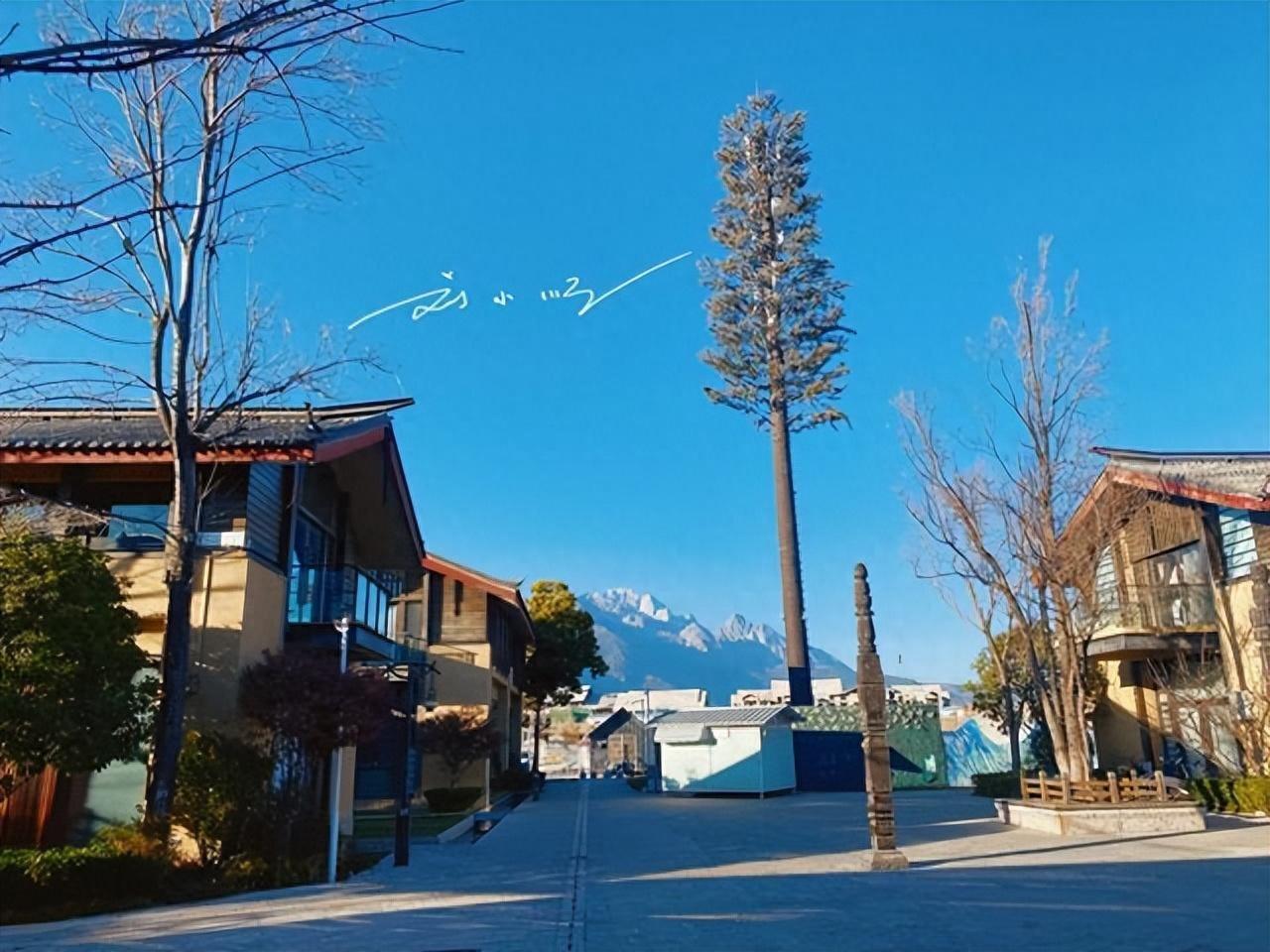 云南省是我国西南地区的旅游大省，旅游资源丰富，每年吸引大量游客。而丽江作为云南西
