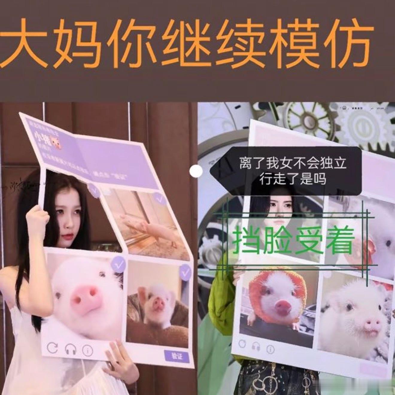 姐姐妹妹这是咋了？