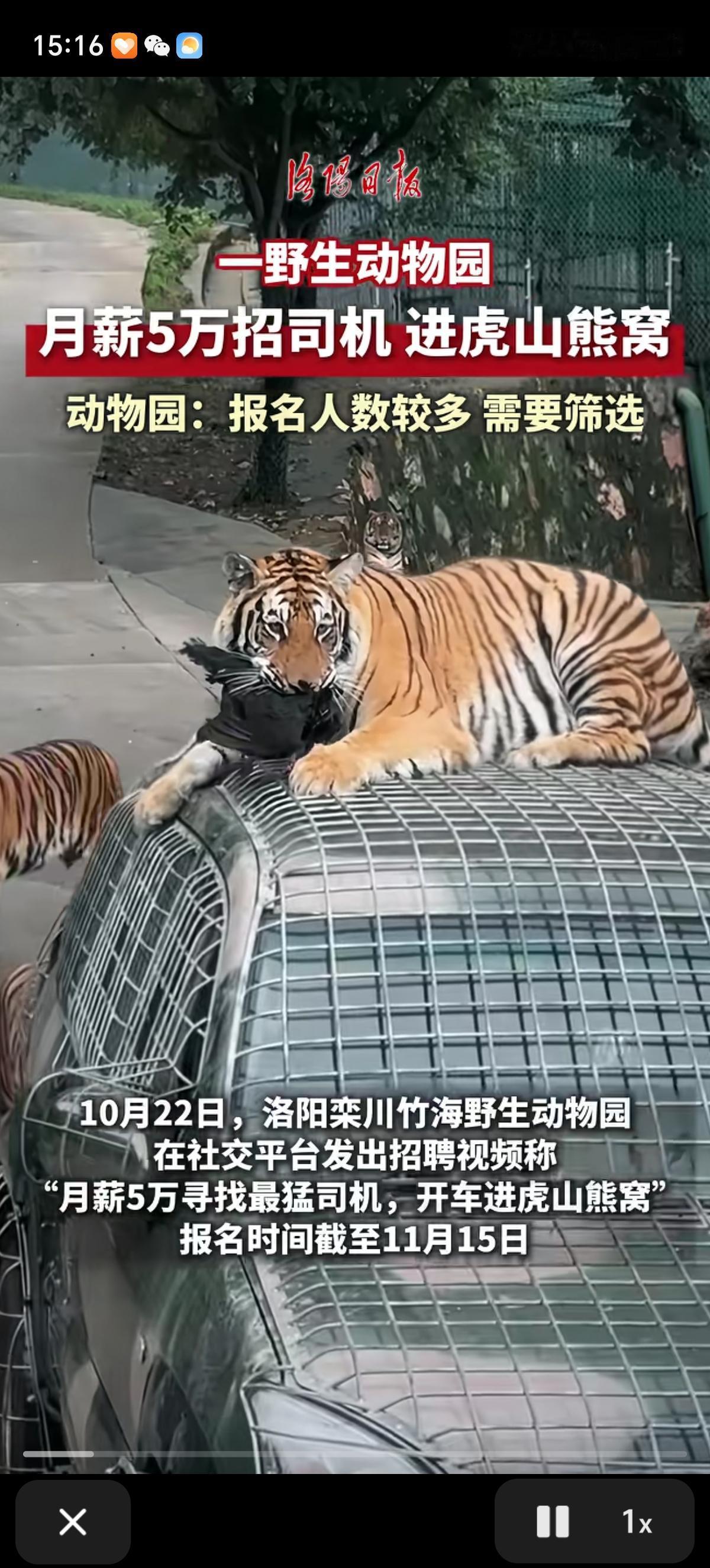 野生动物园高薪招司机，月薪5万，要求不低，要有胆量和反应速度，个人觉得会点驯兽技