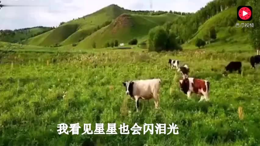 草原的秋天歌曲谱_秋天的草原图片