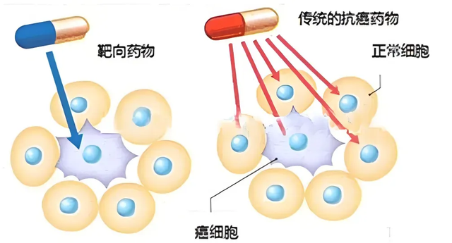 化疗过时了, 靶向药才是万能? 医生: 要看这3大核心指标!