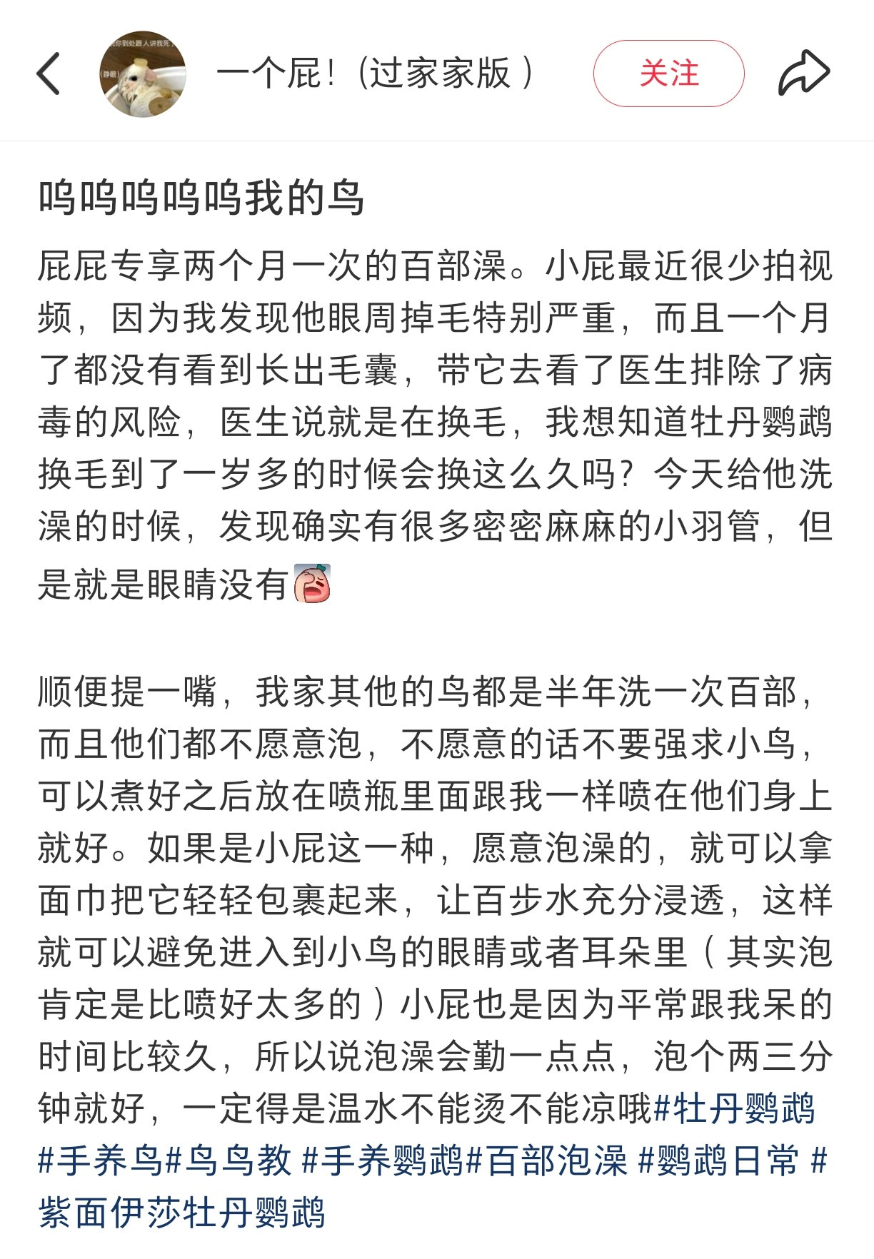 原来是小鸟泡澡啊…吓得我以为是鸡汤…