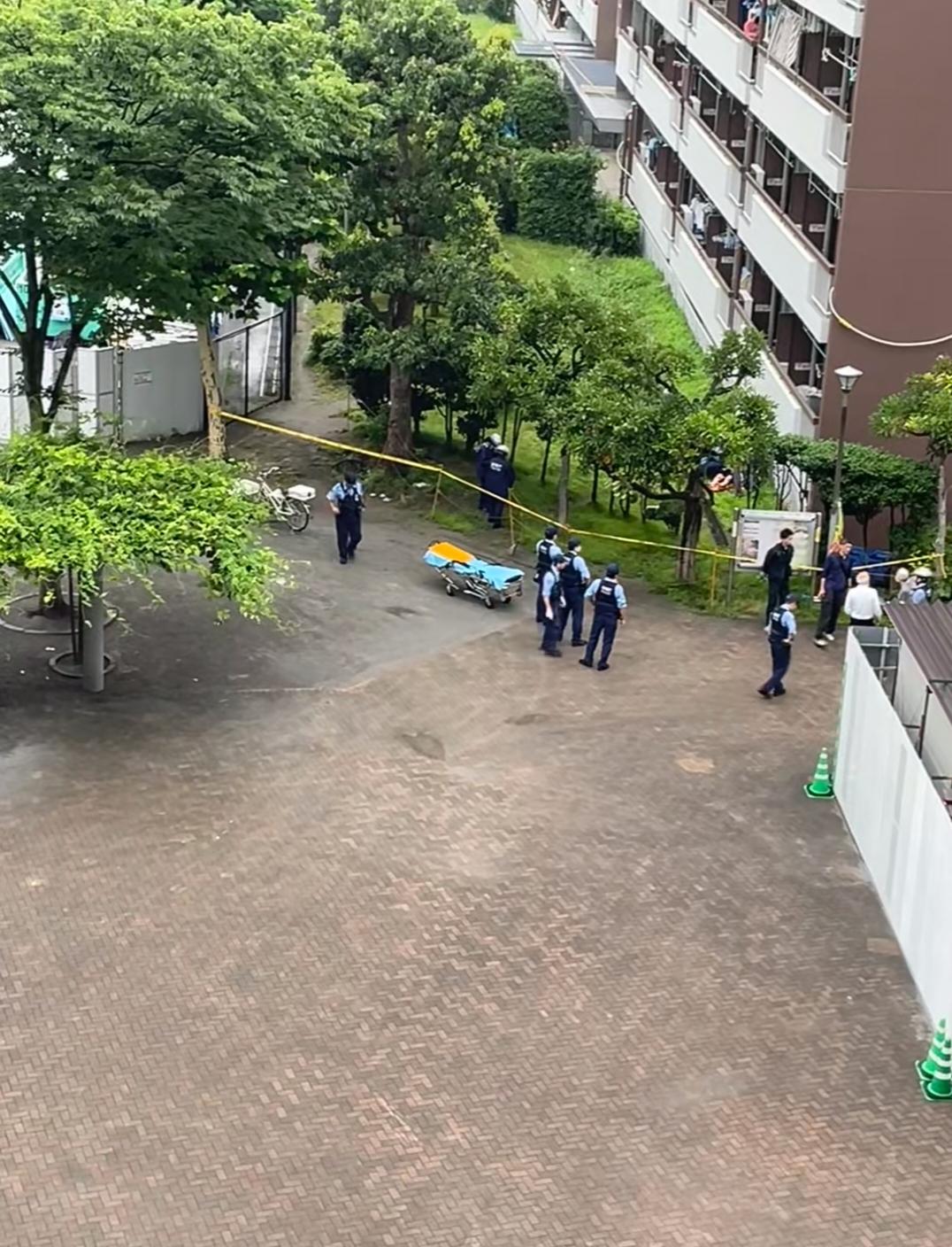 早上刷到跳楼去世的那个学医的女孩真的很痛心从幼儿园到研究生上了20多年的学