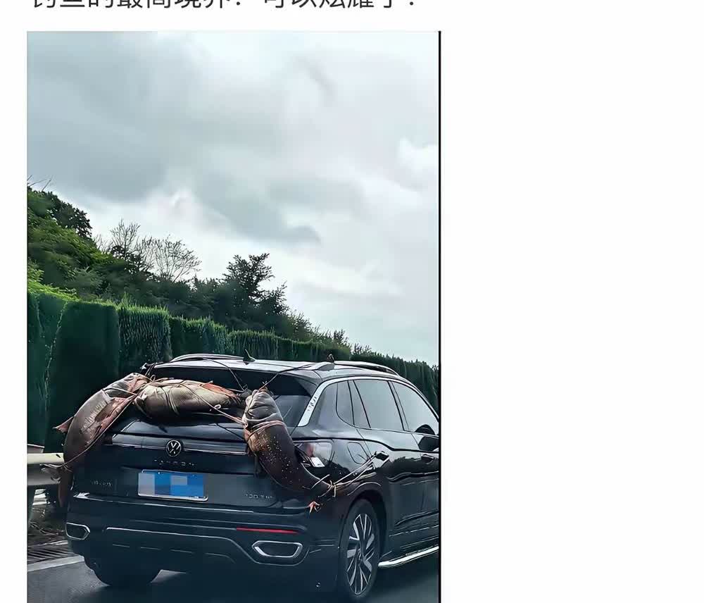 开什么车已经不重要了