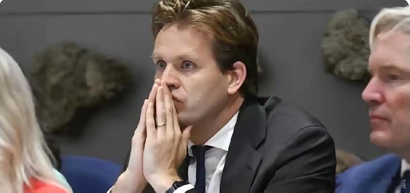 荷兰经济大臣卡雷曼斯来华前大放厥词！他对着镜头语气坚定的说道:“如果让我重来一次