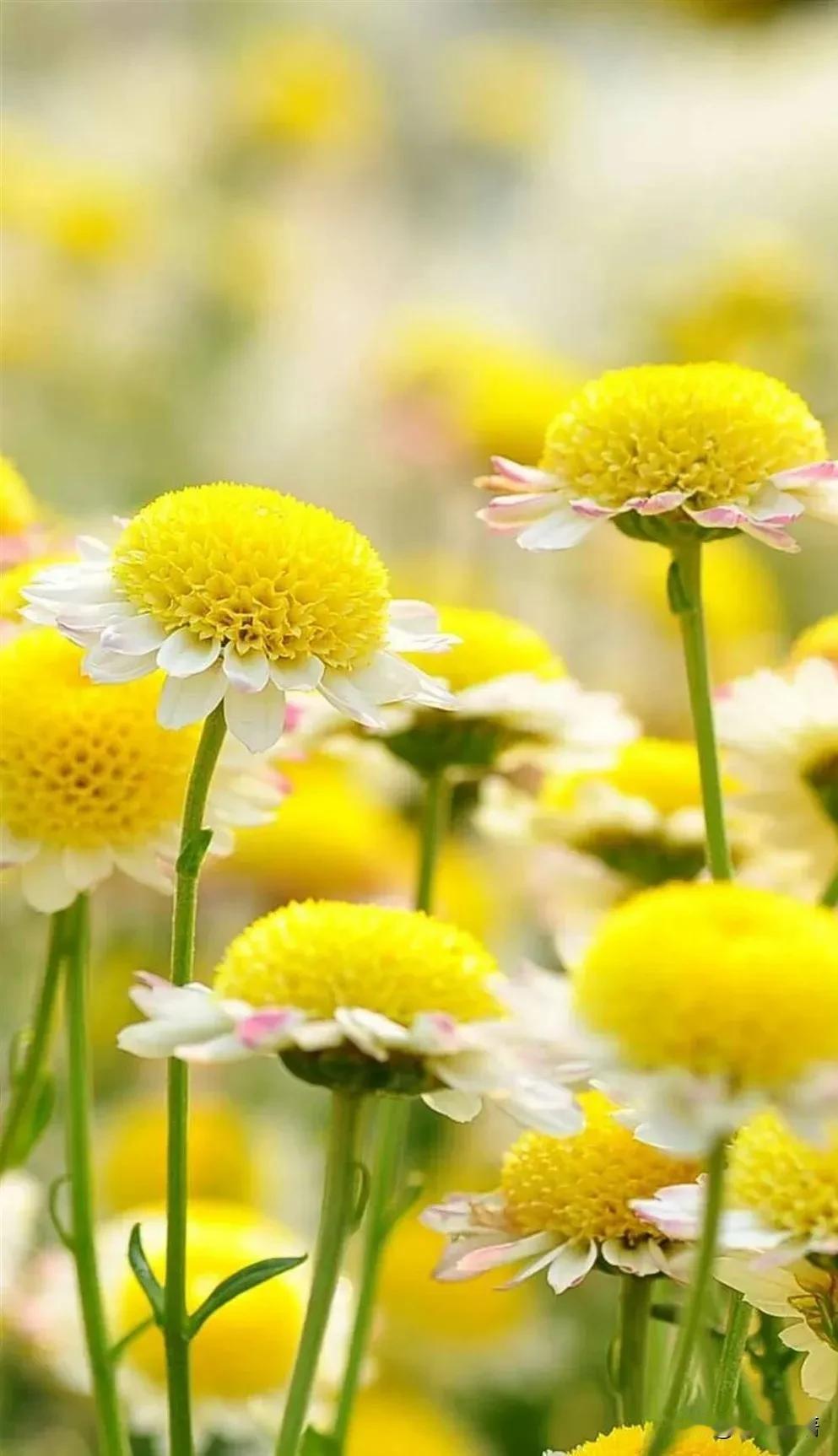 原来这就是驭人术1新人不服——晾着2老油偷懒——调岗3傲慢自负——派