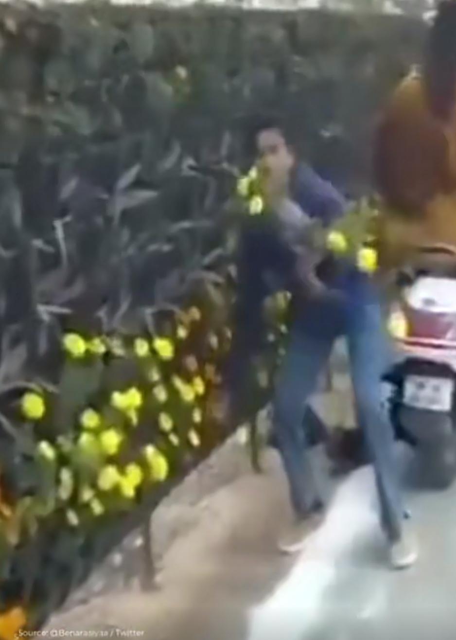 莫迪前脚刚给新公园揭完幕，后脚摆的七千盆花就被老百姓搬空了。这事发生在印度勒