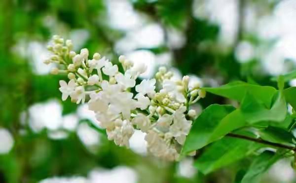 很无奈，年年坚持体检，却还是没能没及早发现肺ai。我的上级业务部门的一个领导