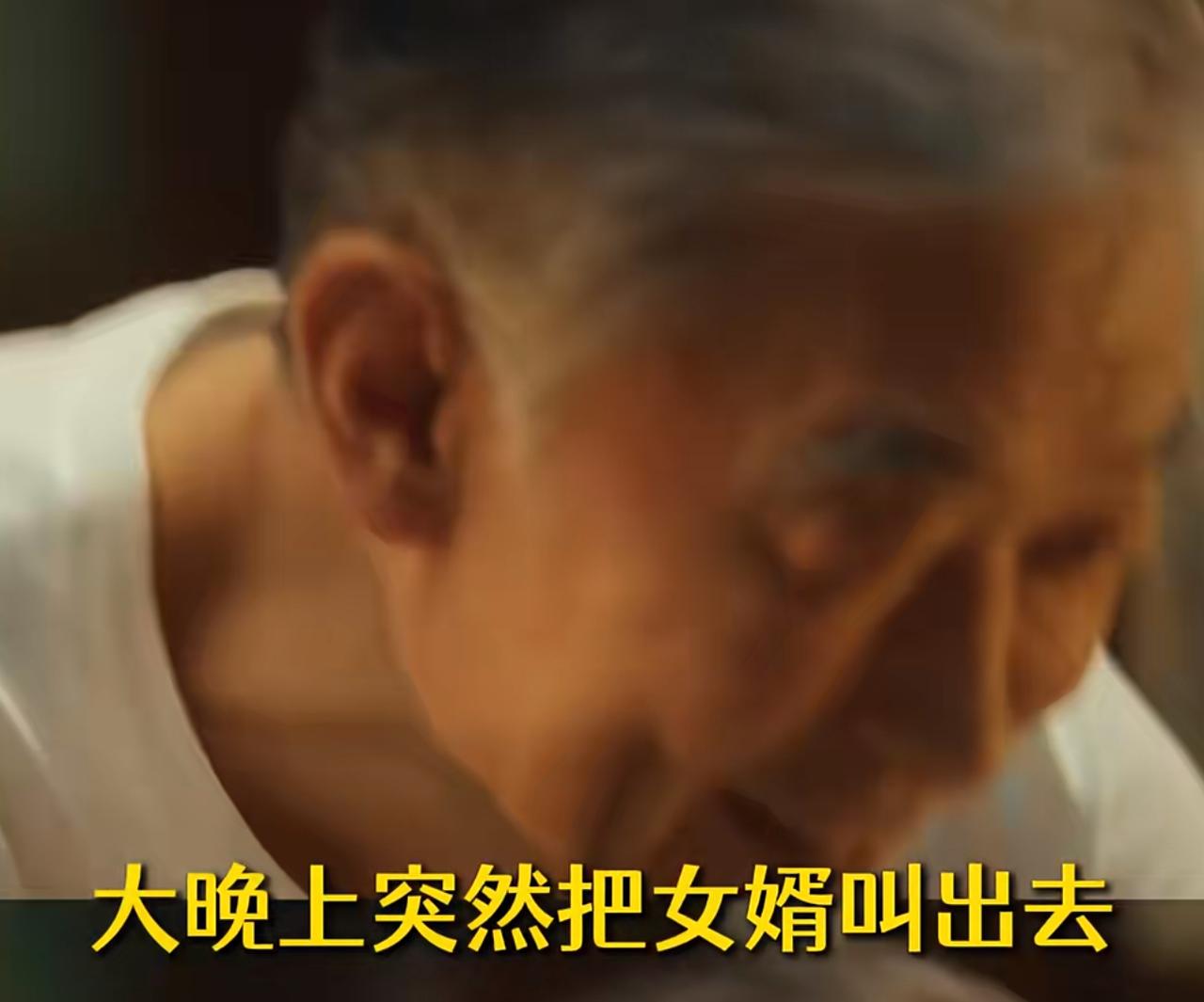 《时差一万公里》：岳父大晚上要与初次见面的女婿谈谈。这一段太搞笑了。编剧真的