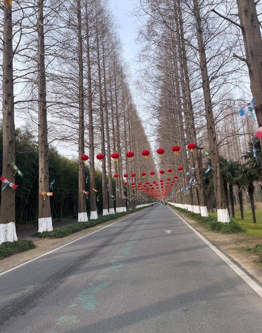 退休后手里的退休金够花，可总觉得闲在家里会和社会脱节，心里空落落的，想着找份事做