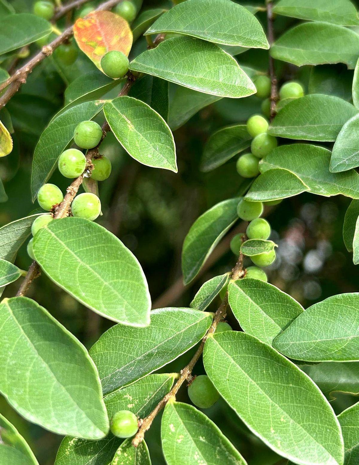 超市大范围倒闭潮说明什么问题？超市标价59.9元/瓶，网购一箱288元/6瓶。