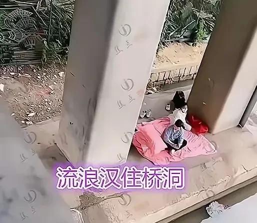大家看看，出门在外打工身上没有钱到底有多惨，没吃没喝没有旅馆睡，更没有钱租房住。