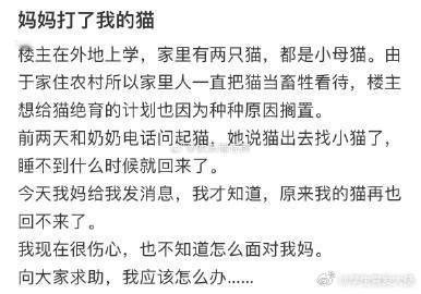 妈妈打了我的猫​​​​