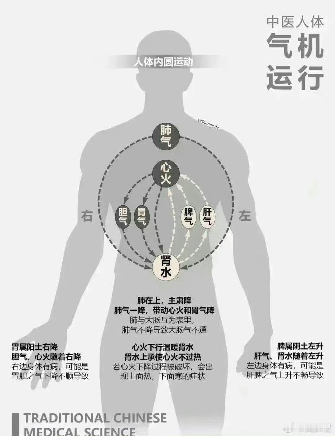 中医基础理论思维导图中医的风早就吹到了海外