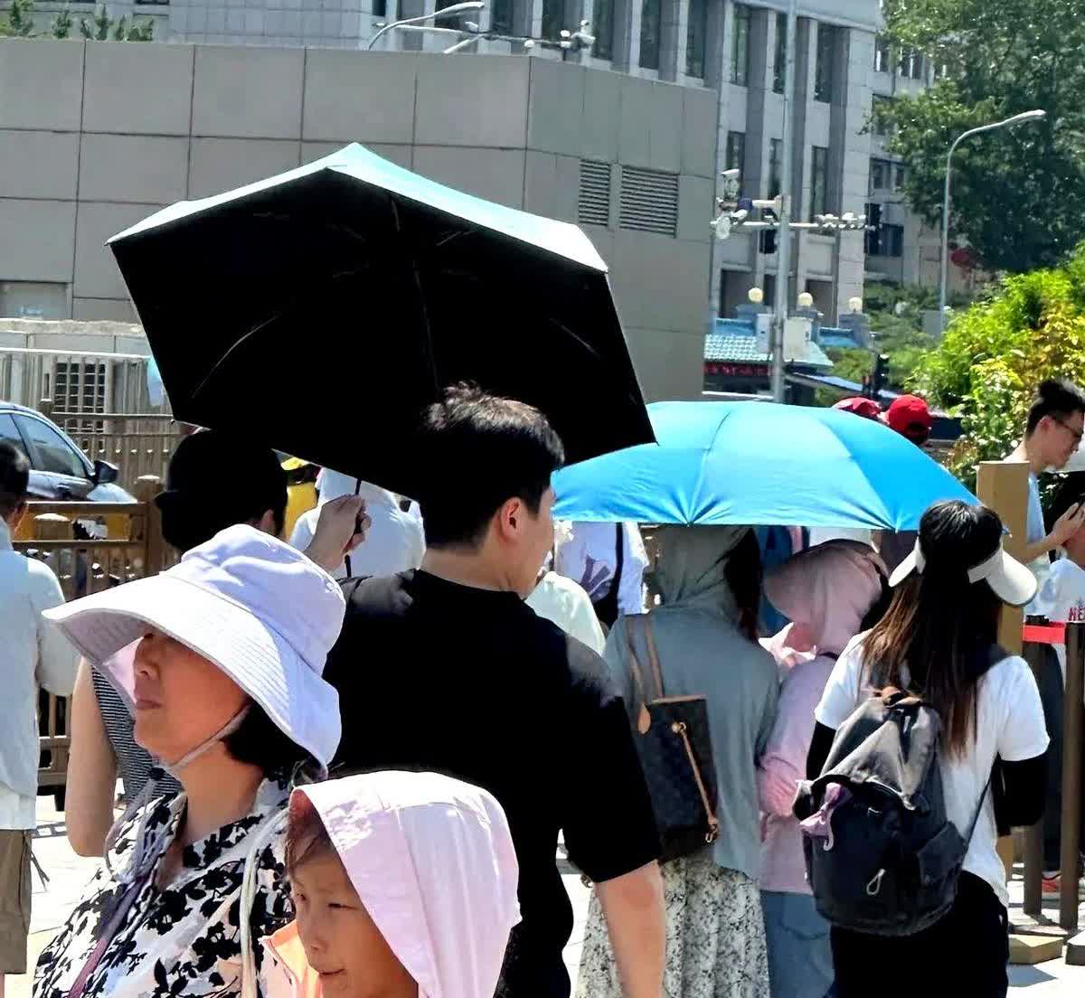 大胖和媳妇的糖分是挺超标的，在迪士尼两人热烈聊天，小孩负责跟着，走累了大胖背着媳