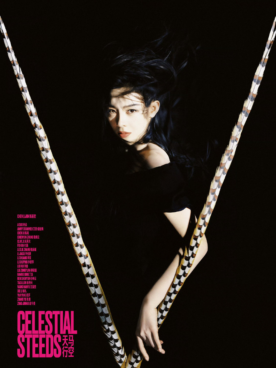 OMG！陈丽君V中文版二月刊双奢双封战报更新，成绩亮眼！！！