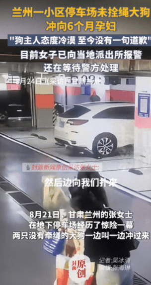 爱狗人士沉默了！”甘肃兰州，一6个月孕妇来到小区地下停车场时，一只未拴绳的大狗突