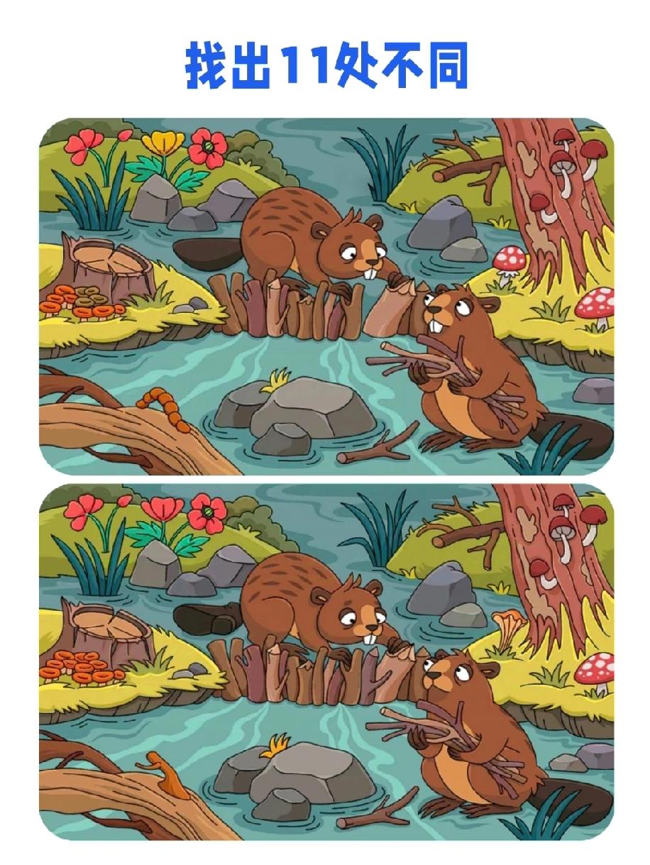 服了！这张海狸找不同图藏11处差异，能找全的评论区秀操作！