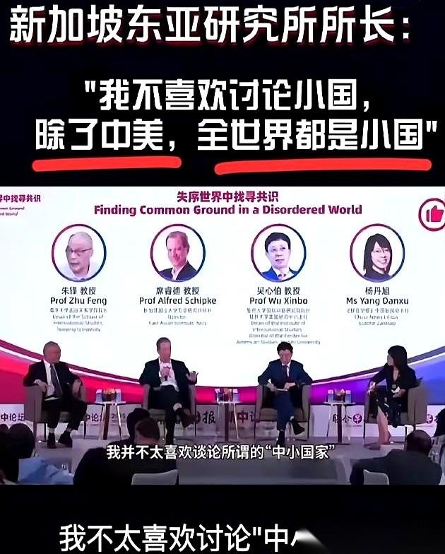 我跟你说,最近有个事儿,真是把我看乐了。一个美国学者,跑到新加坡去开会,当着一