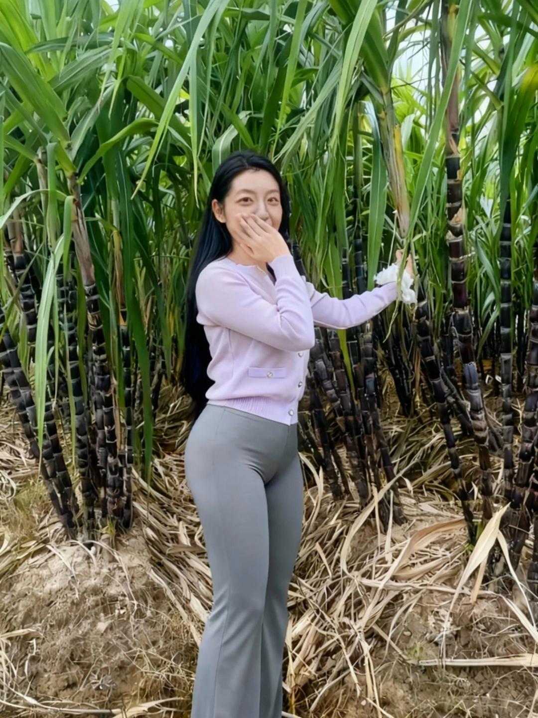 找不到男朋友来我家砍甘蔗，这咋办啊？