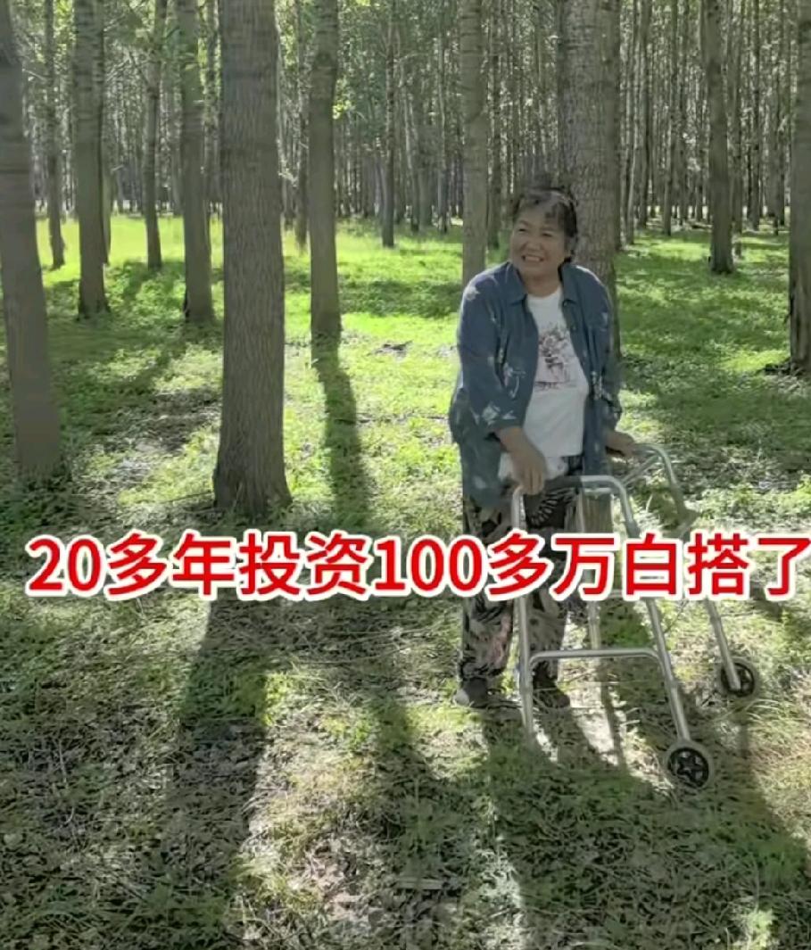 一棵杨树能卖好几百，300亩23龄的杨树得值多少钱啊！不出意外齐齐哈尔的王大姐