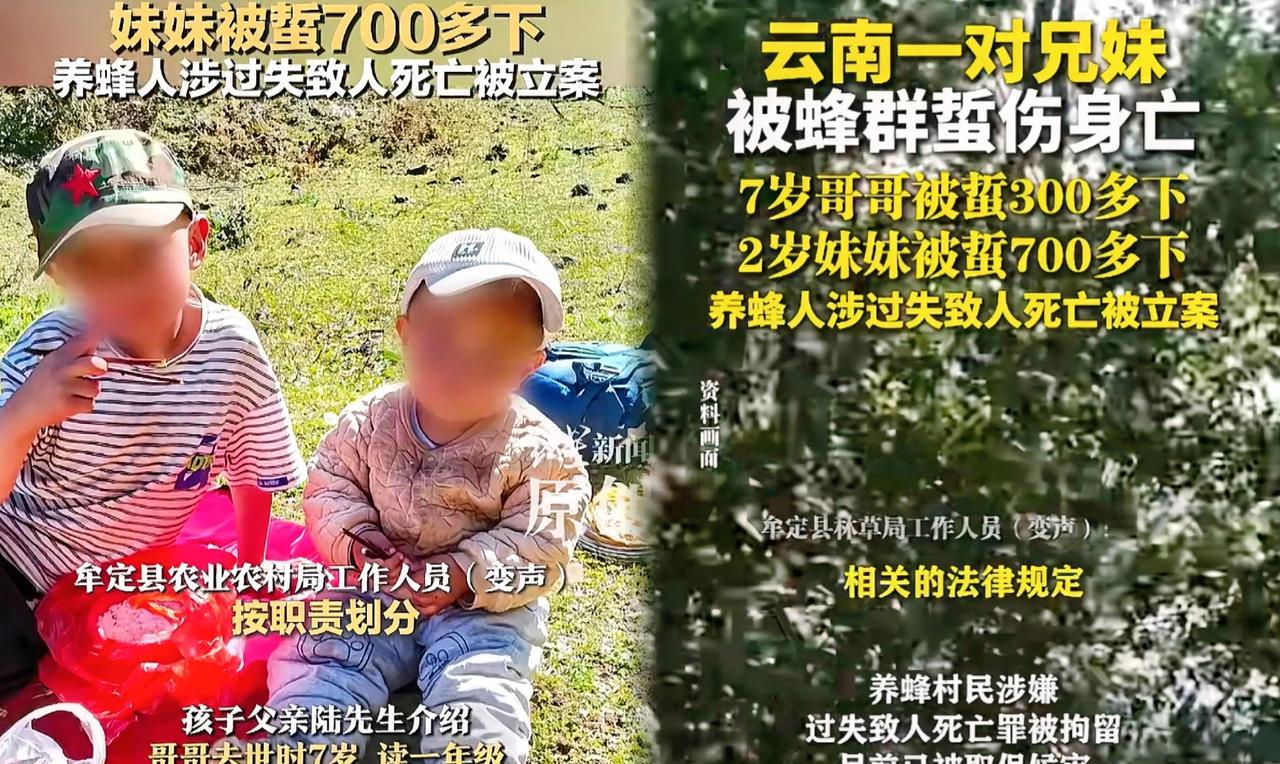 太痛心了云南牟定的悲剧7岁哥哥和2岁妹妹被马蜂蜇死，已经火化，父母在外打工