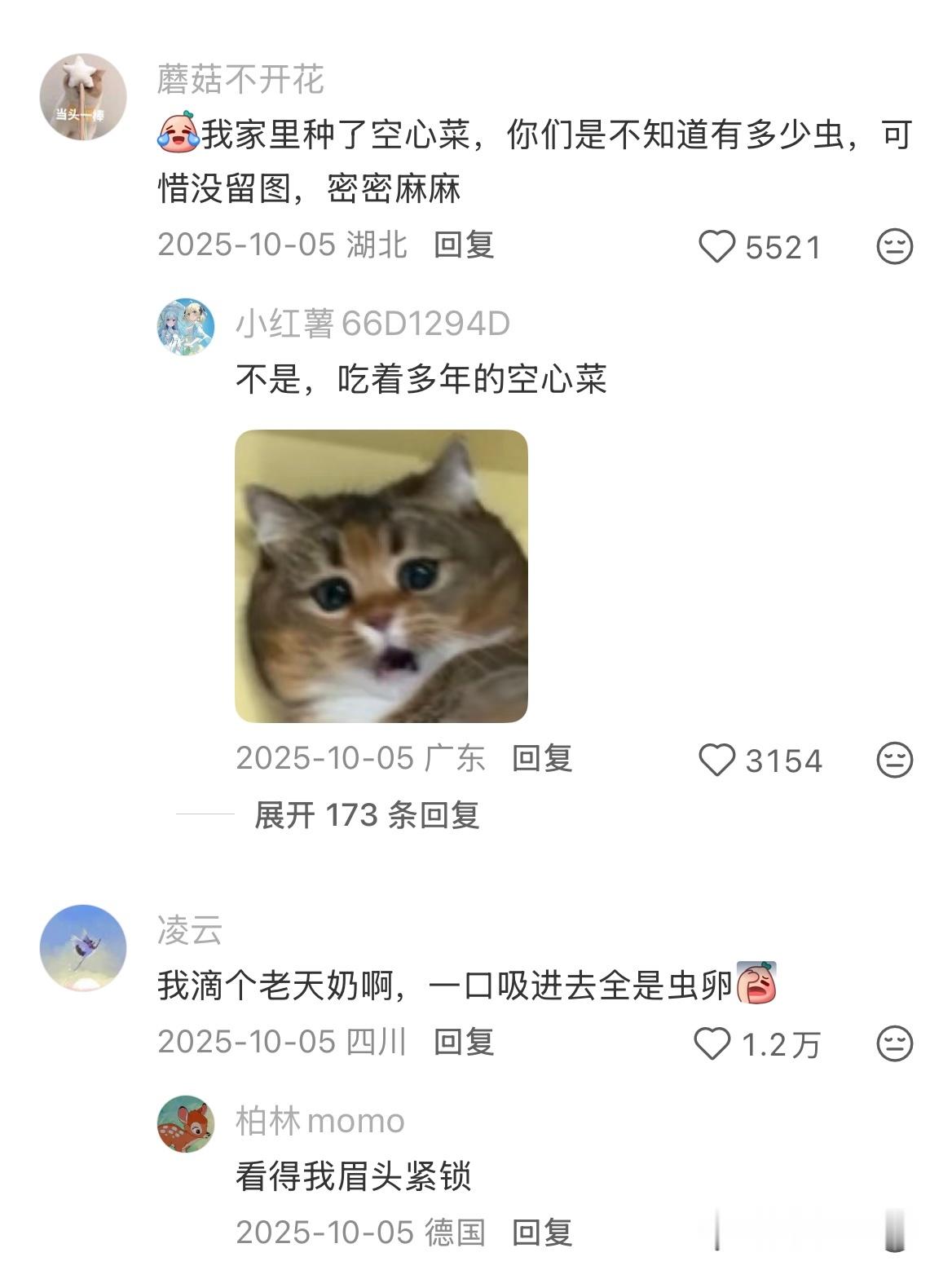 越南治好了我爱咬吸管的毛病​​​