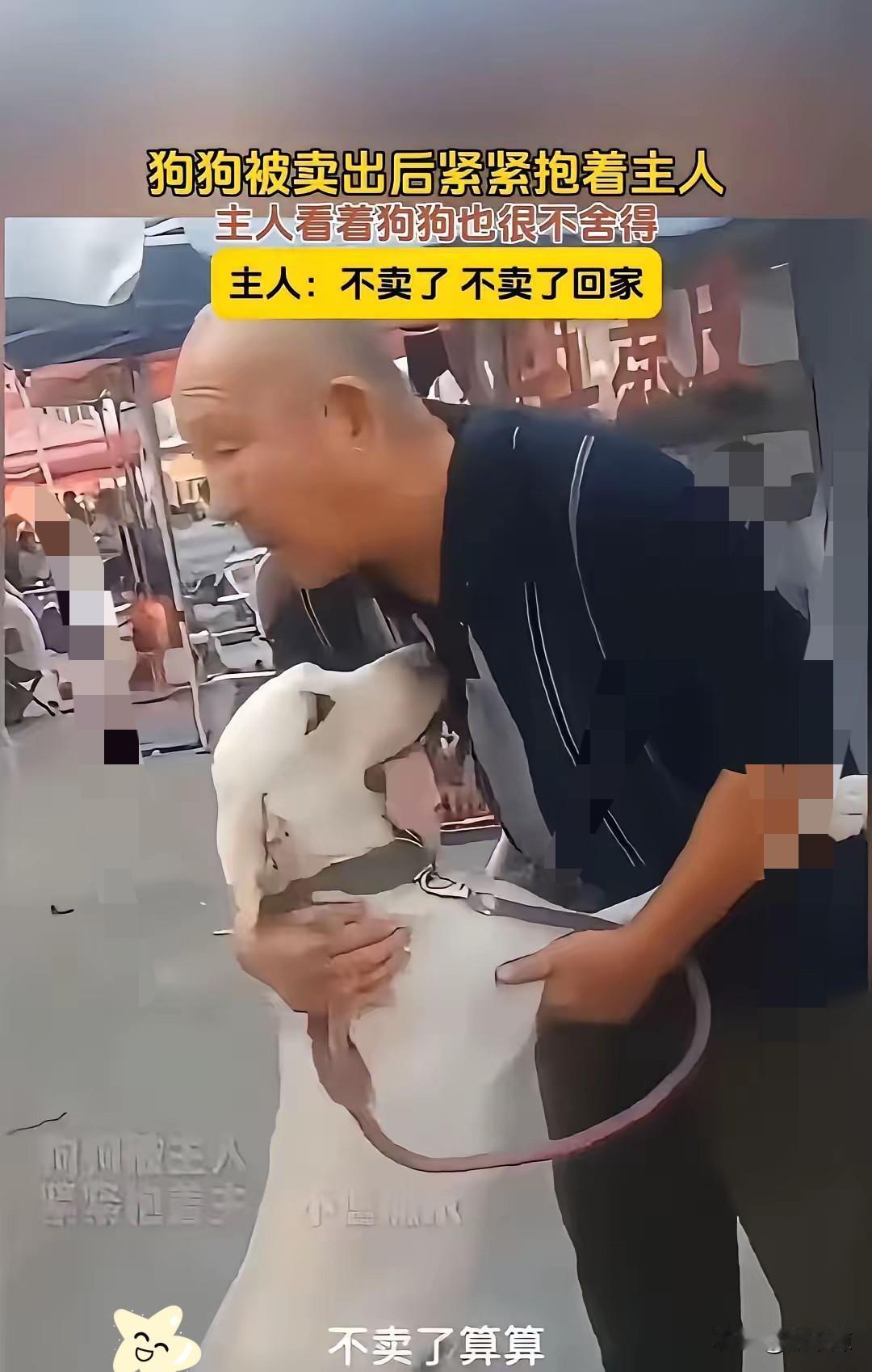 泪目了！一位大哥因为搬家，不方便带狗狗走，他只好忍痛带着养了几年的狗狗去狗市，准