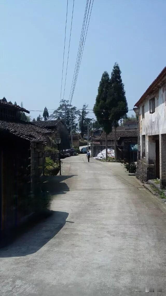 说农村的老房子、水泥路、柳杉就代表落后村庄，这想法有点片面啦。老房子是岁月的沉淀