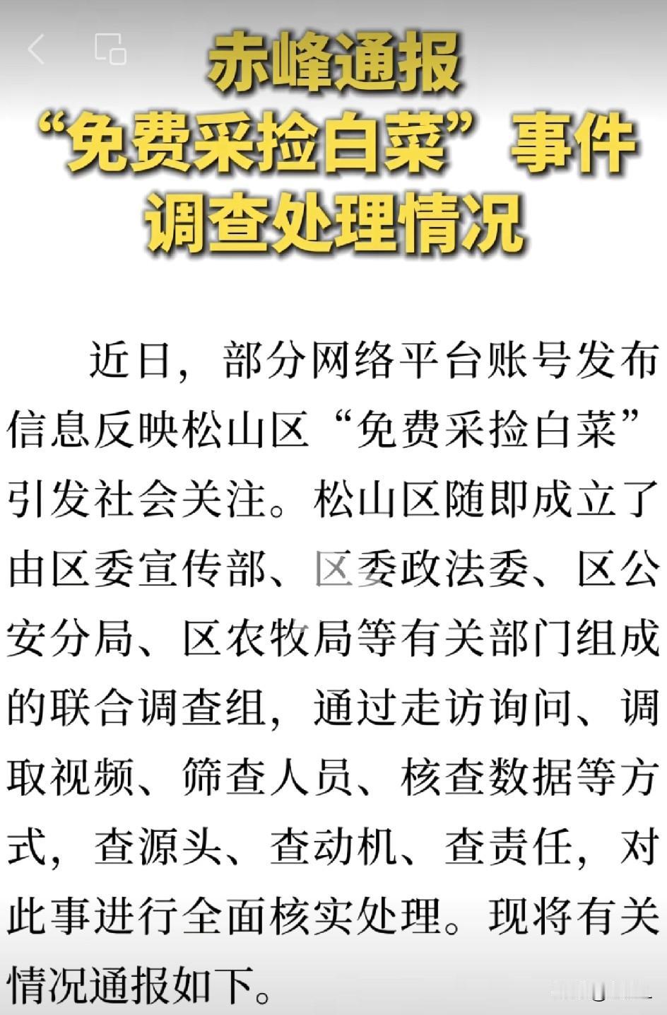 一颗白菜引发的“雪崩”：始作俑者被罚，媒体停职，农户被教育！赤峰免费白菜的闹剧终