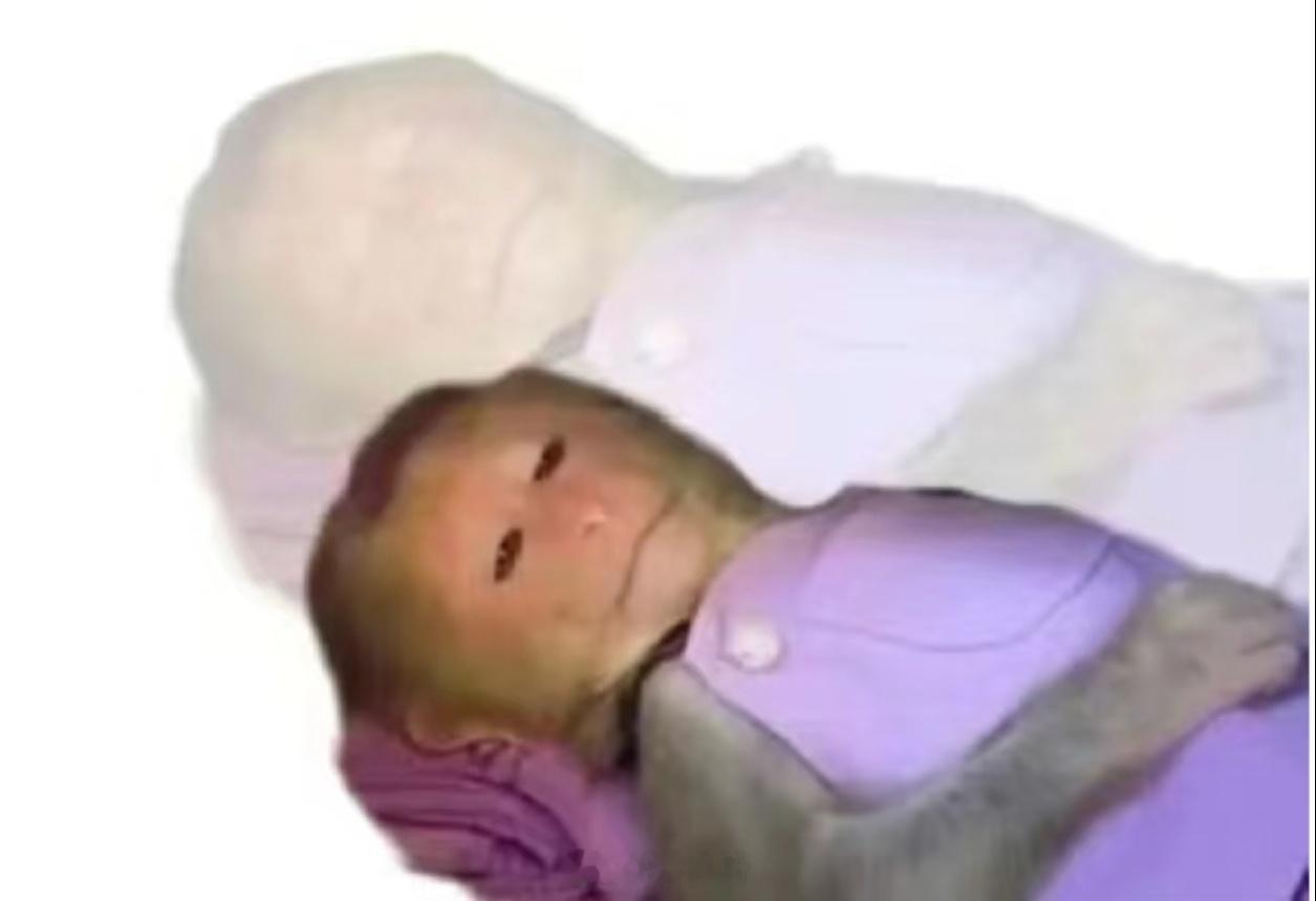 肠胃不好的人吃早餐belike每天都跟刮彩票一样，就算是之前吃了没事的东西，也照