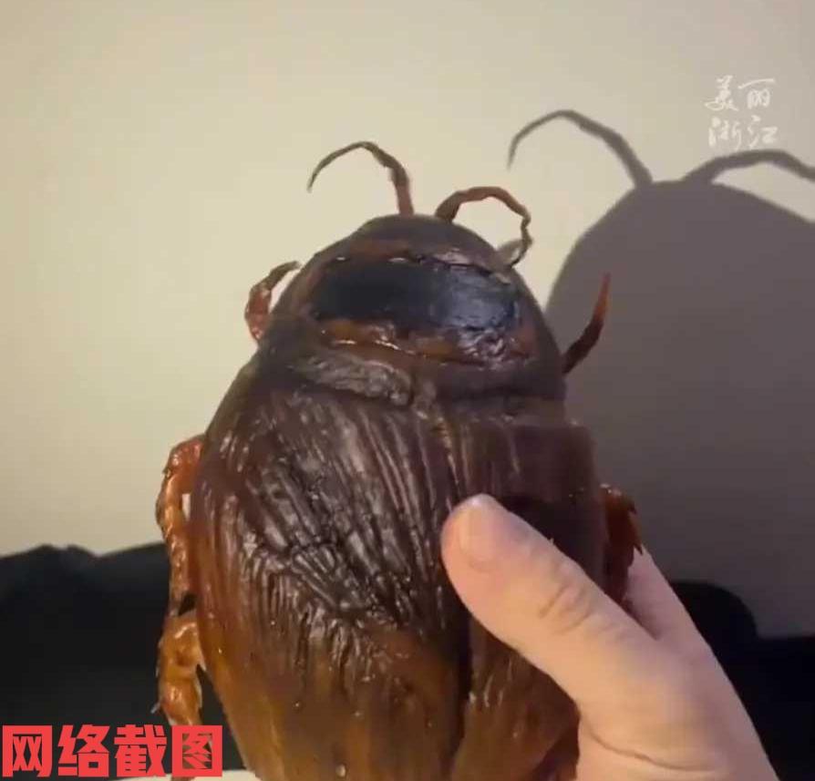 广东有女子在公司下午吃零食。可女子拿出确是令人称奇的，蟑螂造型面包，女子还很