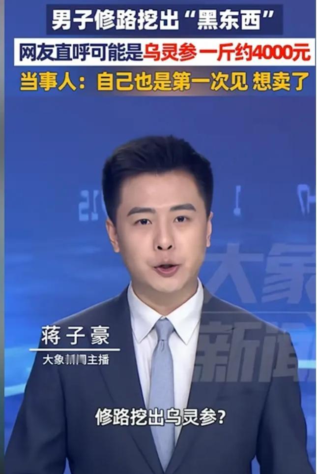 四川达州修路现场惊现“黑金疙瘩”！男子一挖斗下去，疑似挖出天价野生乌灵参，网友炸