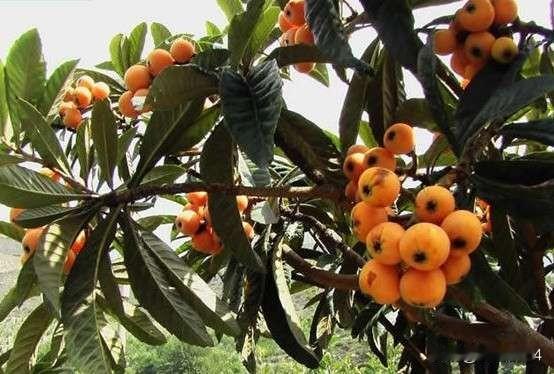 胃癌后的生活，今天咋就感冒了？诶，现在的体质是真不照了！胃癌手术以前难得感冒，