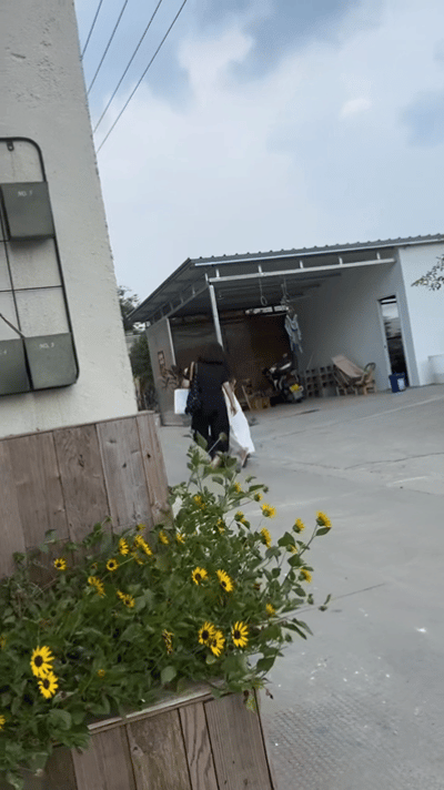 濮院古镇偶遇宋祖儿家人们我酸了！濮院古镇偶遇宋祖儿，本人也太绝了吧！糊图里照样又
