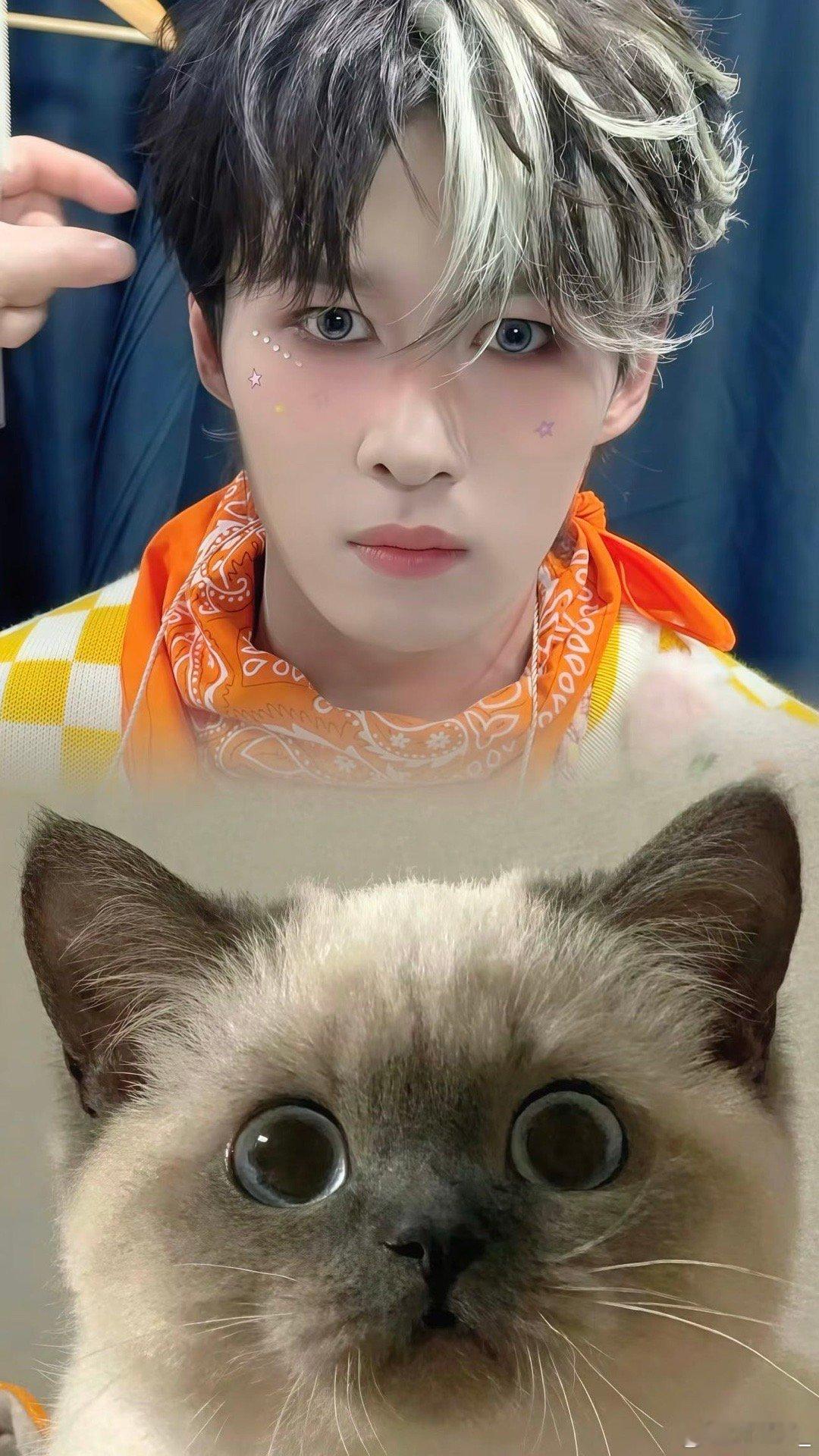 卓沅本体是猫的事儿已经藏不住了沅～可爱鼠啦🥰本体是猫的事儿已经藏不住了吧，小