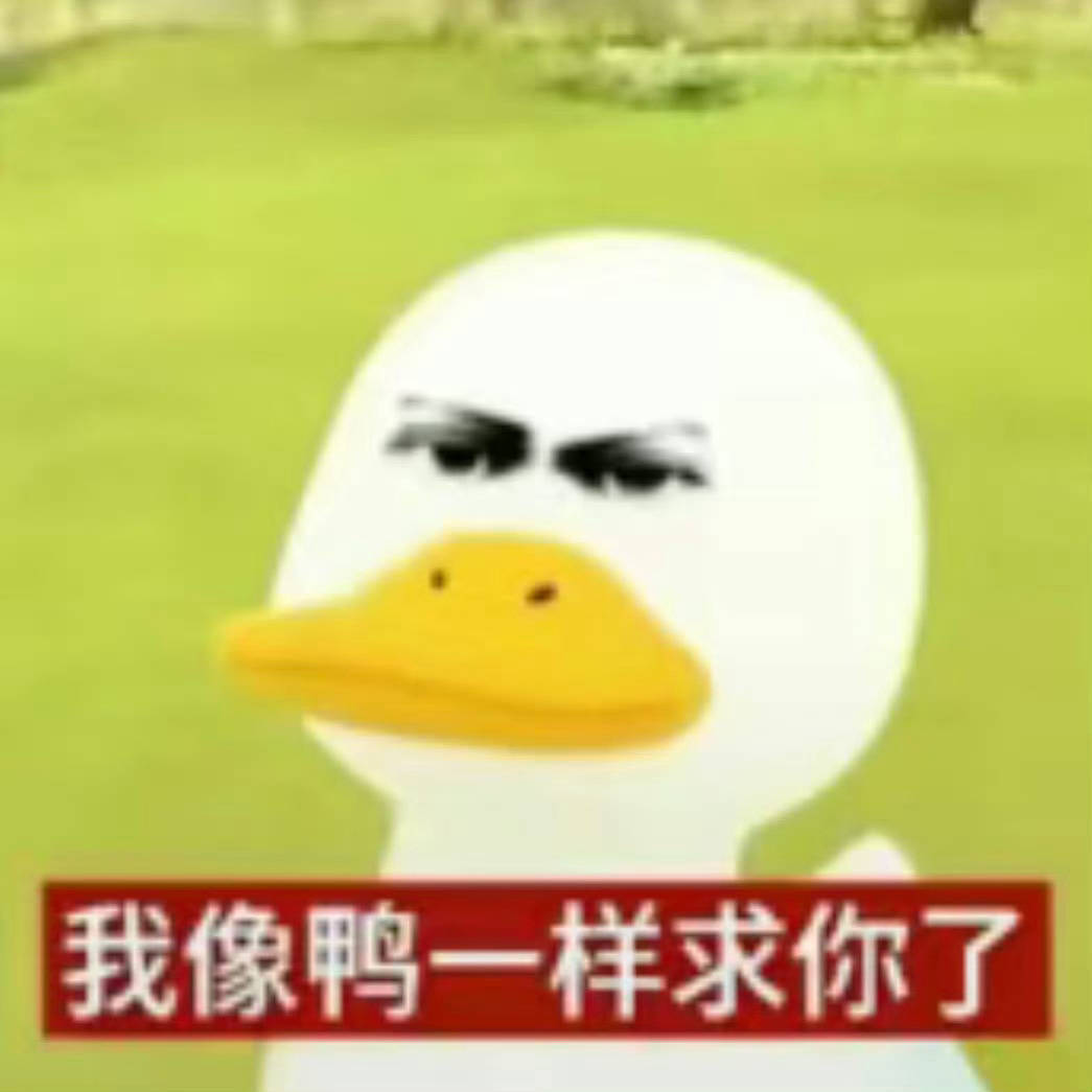 黄了铁粉回家。