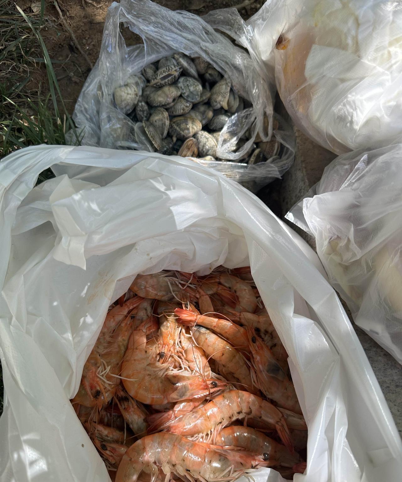 刚才提溜着两大包嘎啦和大虾放在垃圾桶边上喂流浪猫。刚放下小猫就跑过来了。昨天