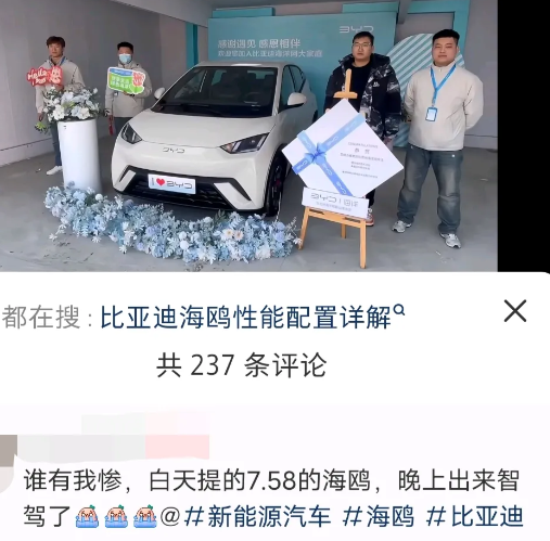 全网最惨的比亚迪车主:白天提的7.58万的海鸥，晚上出来智驾了……不读书，不看