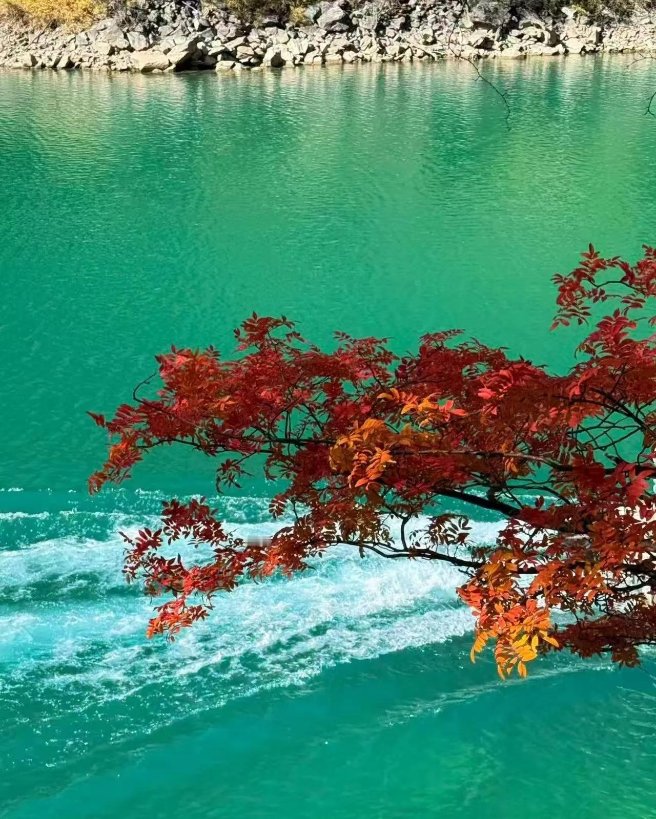 成都春秋假“自行安排”太圈粉！这不是简单放假，是把选择权还给家长的人性化觉醒！