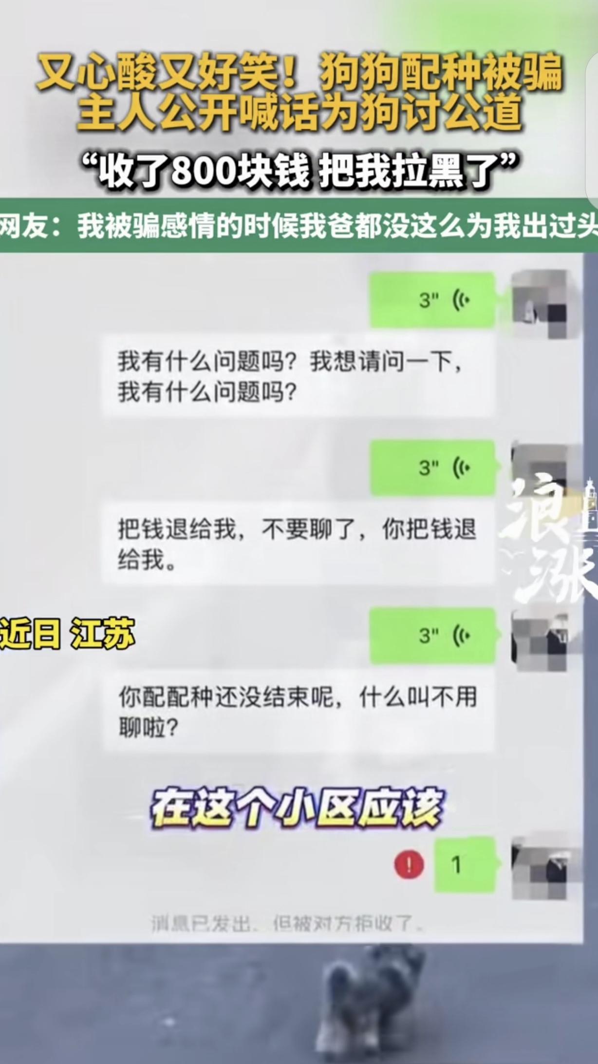 “笑不活了！”江苏，一男子花800元，给自家狗狗配种，万万没想到，对方收了他的钱