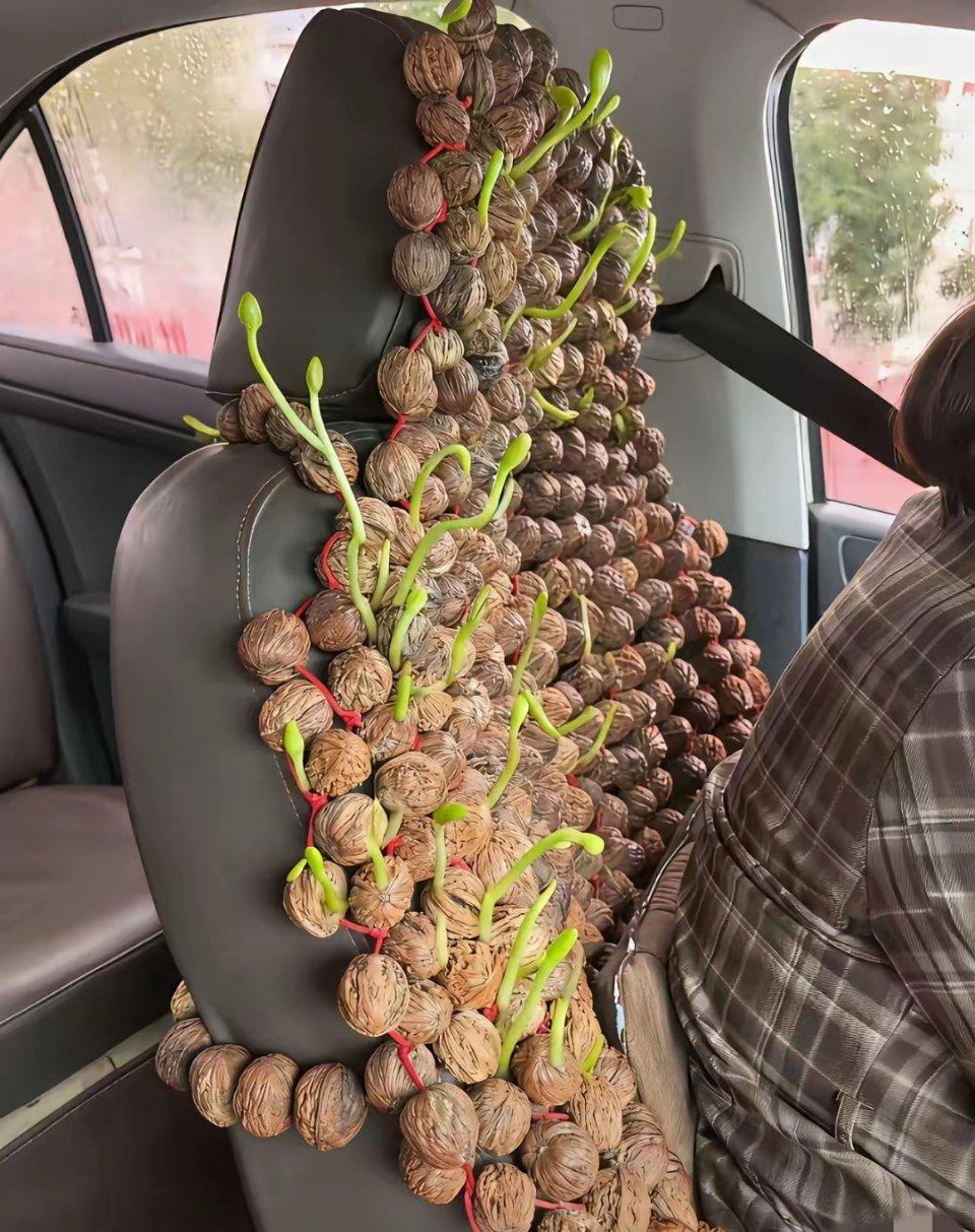 这个太有意思了，一开始还以为是假的核桃，没想到全是真的，这位大姐说这种核桃当坐垫