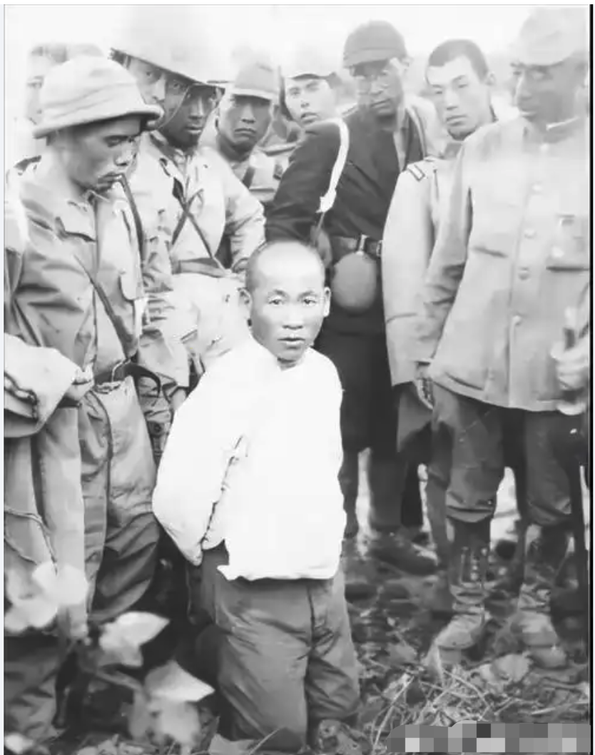 1939年，一个“小男孩”在街上碰到了日本军官茨谷五雄，就朝他鞠了一躬，但茨谷五
