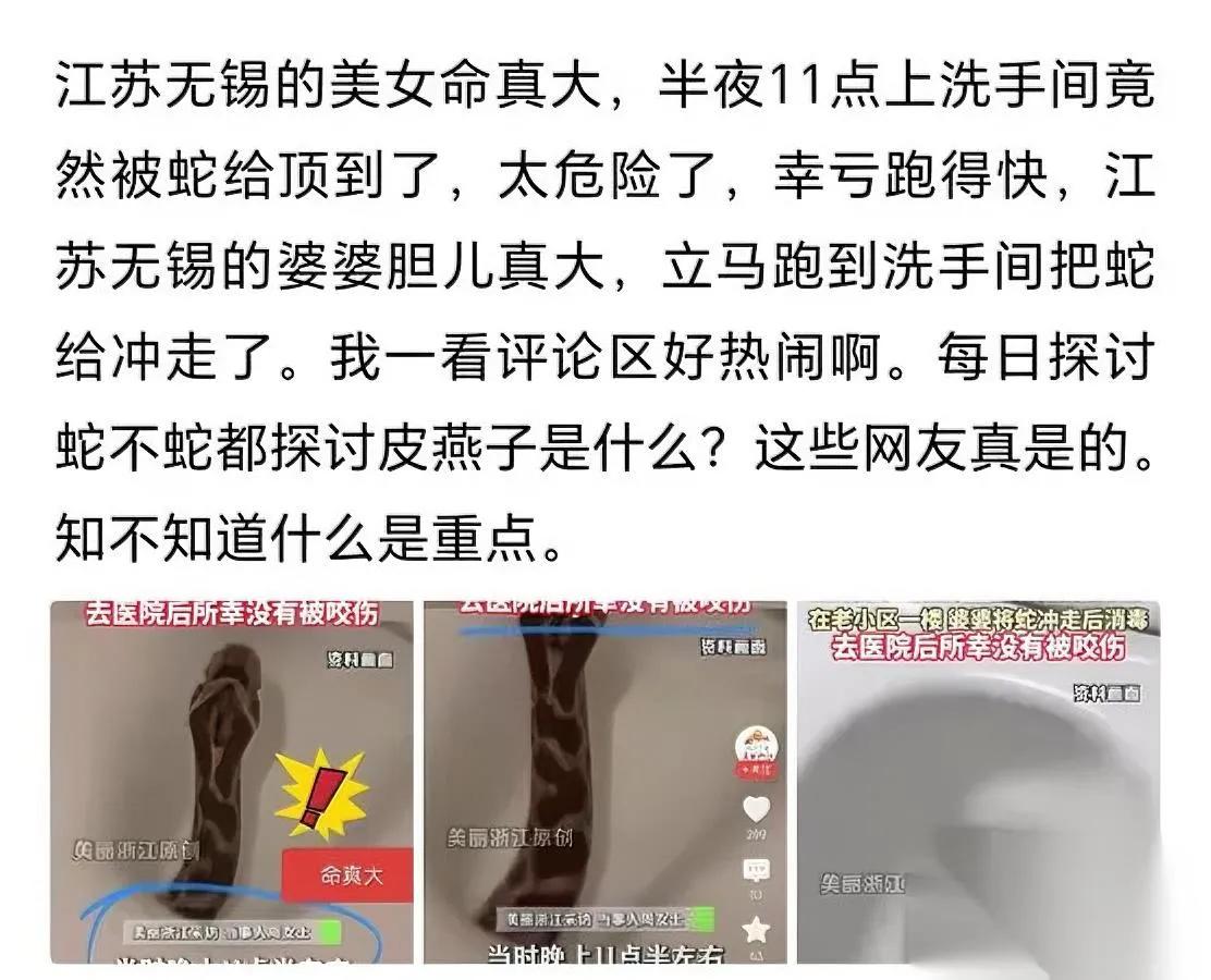 马桶惊魂！看完我直接蹦起来。网传无锡小姐姐半夜蹲坑，被蛇“亲”了皮燕子，