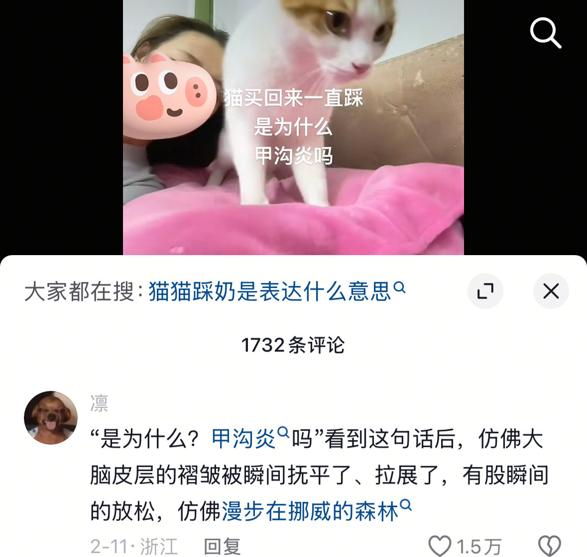 笑的我螺旋升天了哈哈​​​