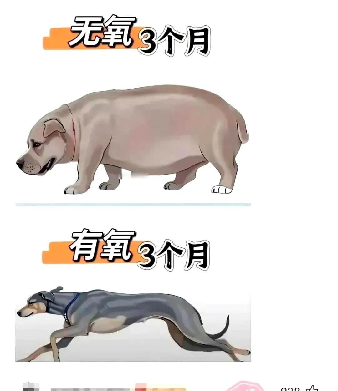 这哪是评论啊，简直是。。。[捂脸哭][捂脸哭][捂脸哭]