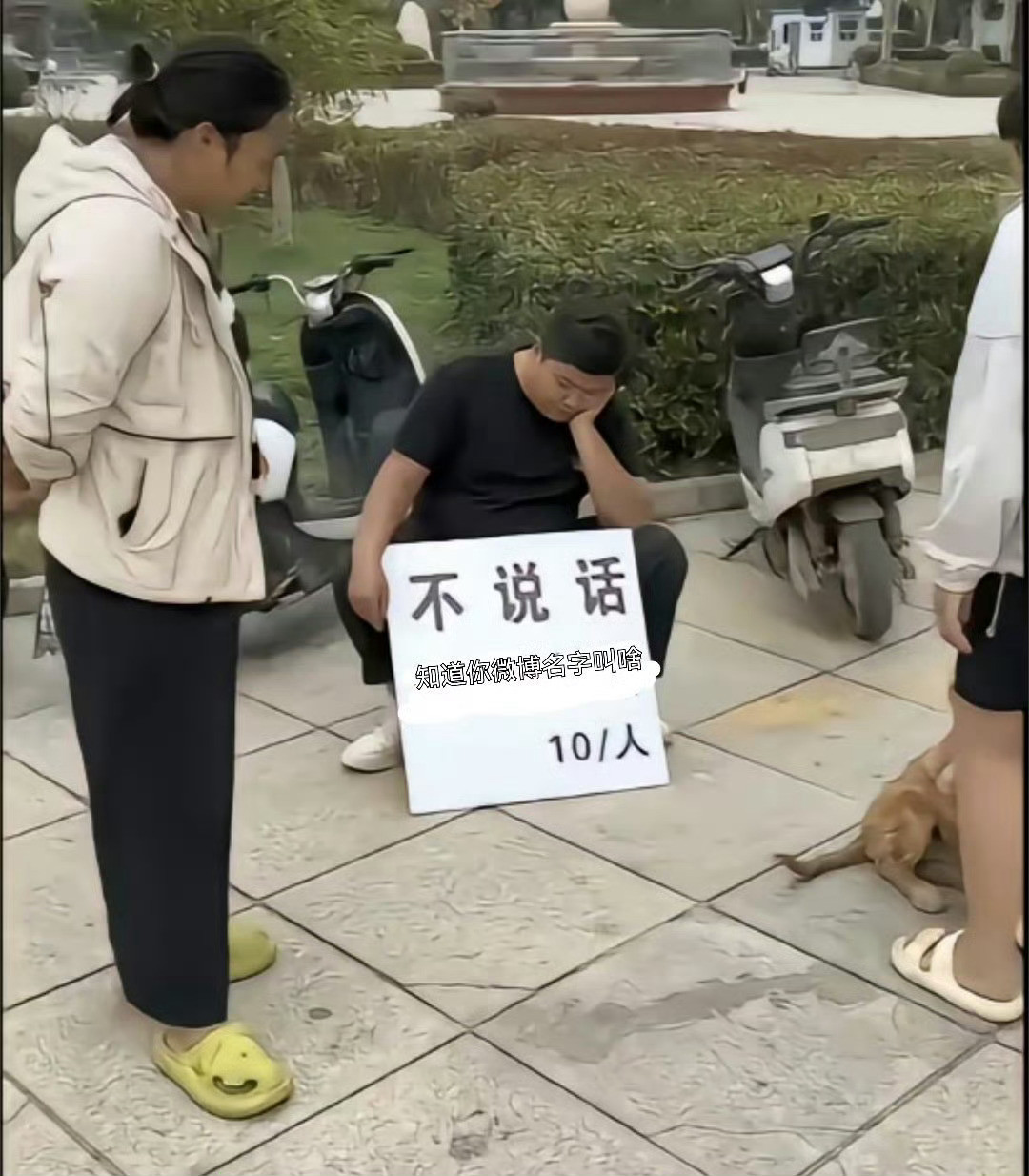 深夜摆个摊，童叟无欺，有意向的的评论区直接报名​​​