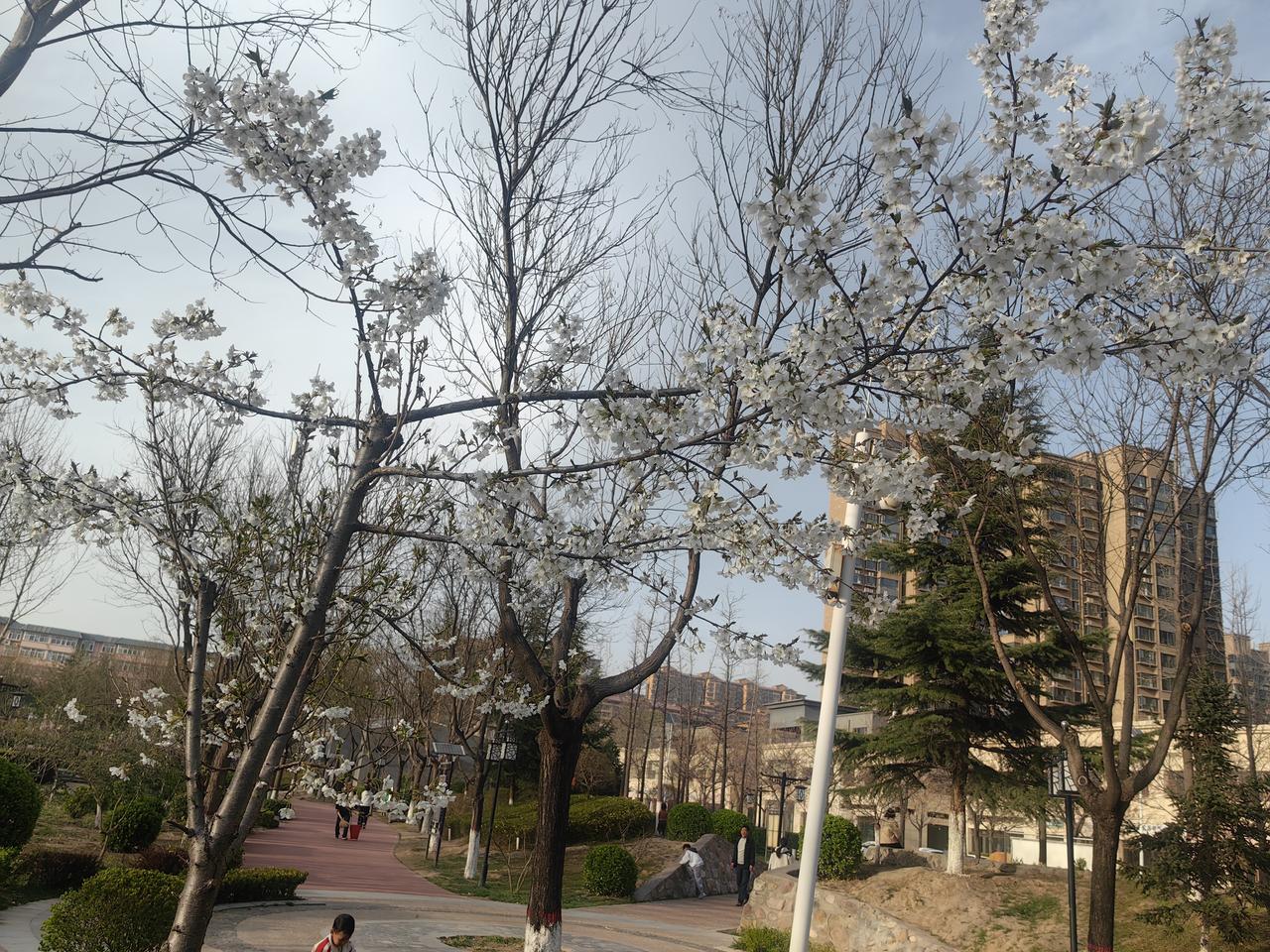 有没有好看的风景图片分享