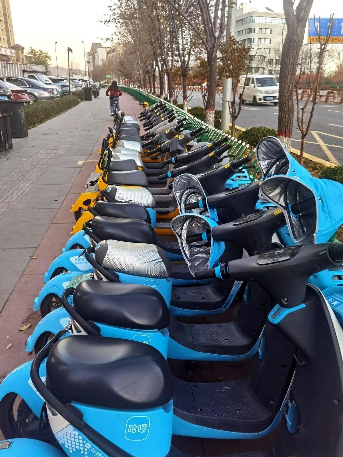 满大街都是这玩意儿。每次扫码的手都伸出去了，又硬生生缩了回来。我妈一句话就把