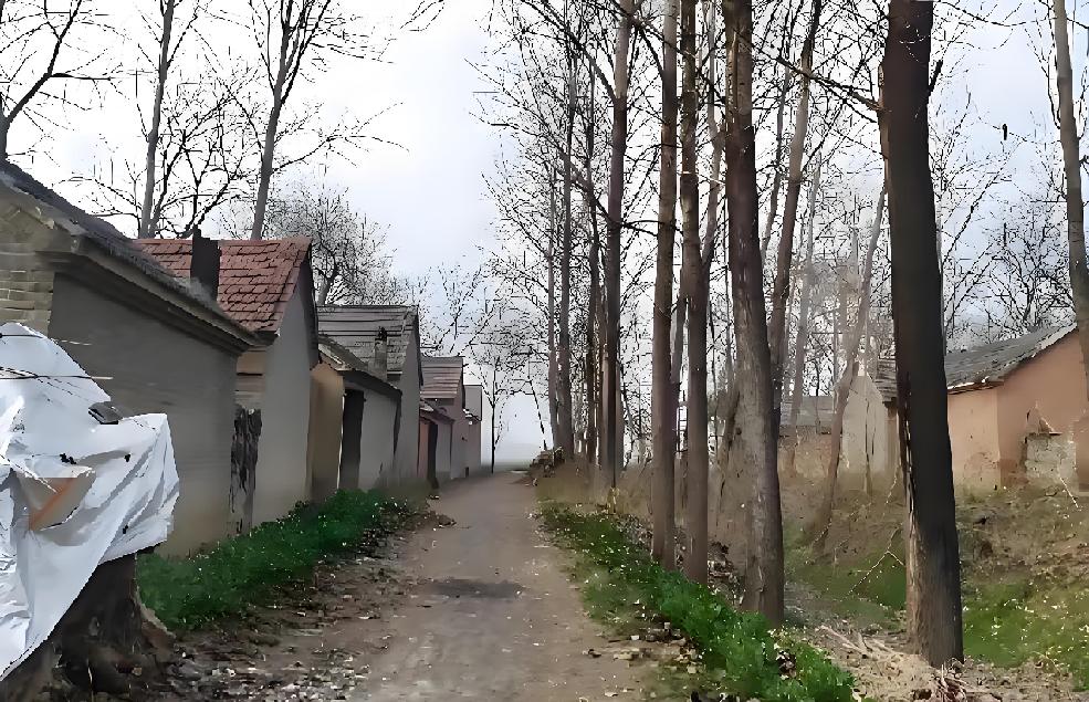 很多人不信，刘强东上大学时，苏北真的那么穷吗？刘强东，1974年生于苏北宿迁